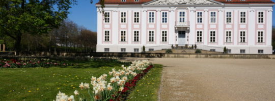Schloss Friedrichsfelde