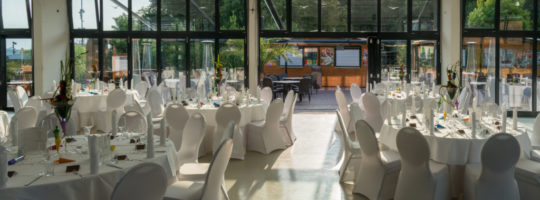 Rübezahl am Müggelsee